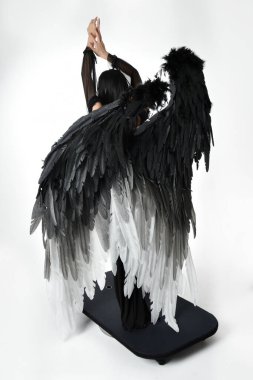 full length portrait of beautiful asian model with dark hair, wearing black gothic skirt costume, angel feather wings with horned headdress. Standing pose  isolated on studio background.
