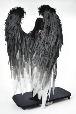 full length portrait of beautiful asian model with dark hair, wearing black gothic skirt costume, angel feather wings with horned headdress. Standing pose  isolated on studio background.