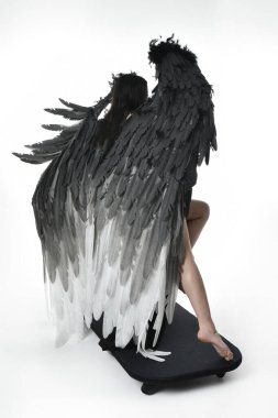 full length portrait of beautiful asian model with dark hair, wearing black gothic skirt costume, angel feather wings with horned headdress. Sitting pose  isolated on studio background.