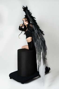 full length portrait of beautiful asian model with dark hair, wearing black gothic skirt costume, angel feather wings with horned headdress. Sitting pose  isolated on studio background.