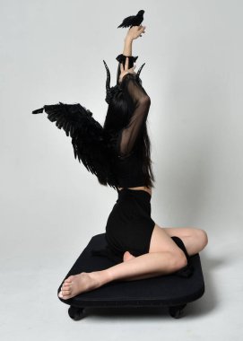 full length portrait of beautiful asian model with dark hair, wearing black gothic skirt costume, angel feather wings with horned headdress. kneeling  pose  isolated on studio background.