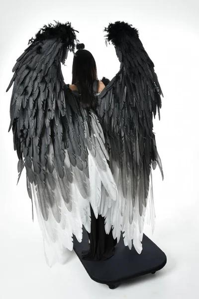 full length portrait of beautiful asian model with dark hair, wearing black gothic skirt costume, angel feather wings with horned headdress. Standing pose  isolated on studio background.