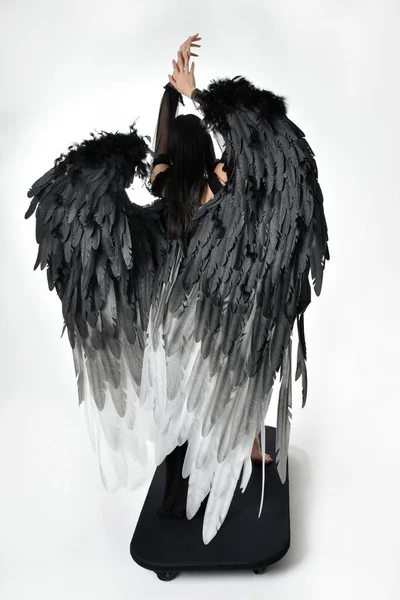 full length portrait of beautiful asian model with dark hair, wearing black gothic skirt costume, angel feather wings with horned headdress. Standing pose  isolated on studio background.