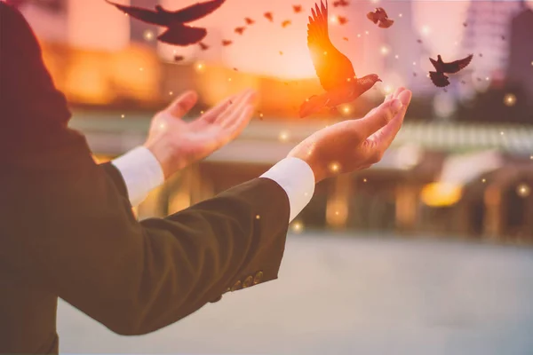 Concepto Espíritu Puro Espiritualidad Hombre Negocios Orando Con Pájaro Libre —  Fotos de Stock