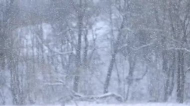 Yavaş çekimde düşen kar tanelerinin dansı, kışın gözlemlenebilen inanılmaz bir doğa olayı..