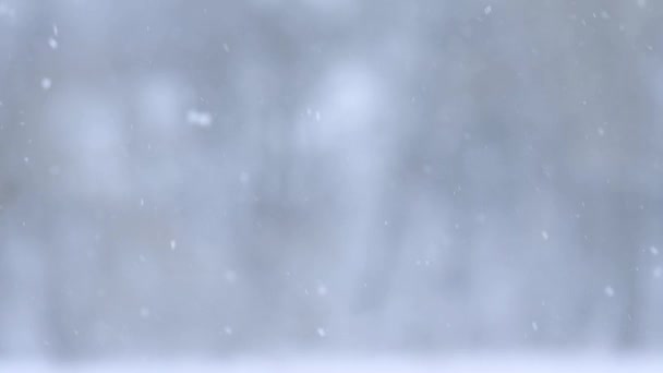 降雪缓慢运动，冬季背景模糊，季节美妙. — 图库视频影像
