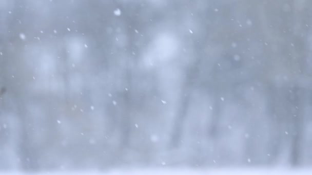 Снежинки падают зимой в замедленной съемке из Bokeh, увлекательное видео со снегом. — стоковое видео