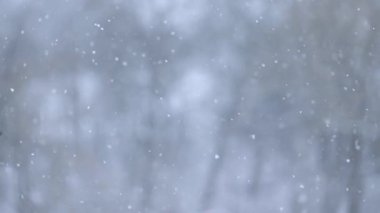 Kışın doğal olaylar, kar ve rüzgar esintisi, köydeki evin penceresinden manzara, yavaş çekim kar taneleri, yavaş çekim videosu.