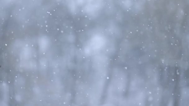 Fenómeno natural en invierno, nieve y viento soplando, vista desde la ventana de la casa en el pueblo, cámara lenta de copos de nieve, video en cámara lenta. — Vídeo de stock