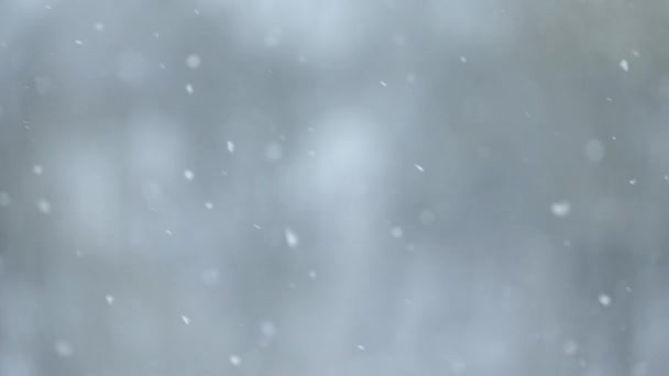 雪片のスローモーション、村の冬、窓からの雪の眺め、ぼやけた動きとボケ. — ストック動画