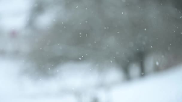 Vinter og dens naturfænomener, langsom bevægelse af sne, dagtimerne snefald, udsigt fra vinduet, maleriske og fabelagtige udsigt over snefnug. – Stock-video