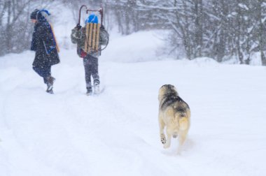 İki çocuk kaydırağın üstünde kızak taşıyor, çocuklar ve kış, çocukların eğlencesi.