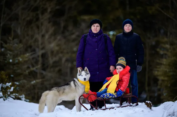 Großmutter Mit Enkeln Und Hund Spazieren Winterwald Winterspaß Neu — Stockfoto