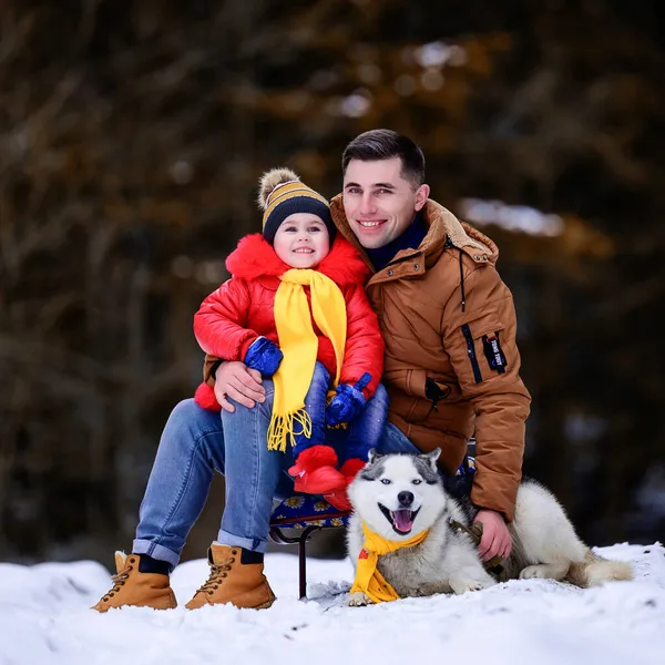 Отец Красивой Дочерью Собакой Породы Хаски Гуляют Зимой — стоковое фото