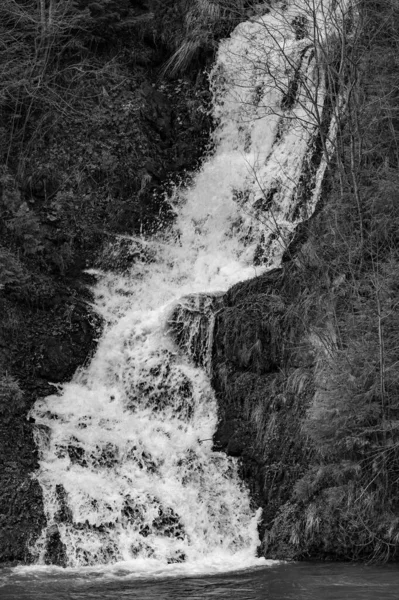 Cachoeira Kamyanets Synevyr Clareira Parque Nacional Ucrânia Synevyr Clareira Seus — Fotografia de Stock