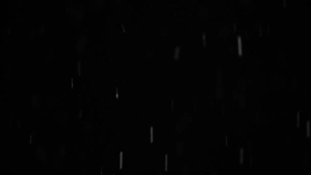 검은 배경에 하얀 눈이 쌓여 있다. 스노 폴 설계 요소 4k 장면. — 비디오
