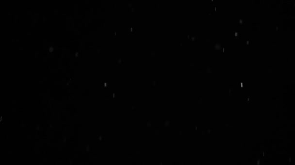 Bokeh fehér hó egy fekete háttér HD lassított videó. Leeső hópelyhek éjszakai égbolt háttér, elszigetelt utómunka és overlay a grafikus szerkesztő. — Stock videók