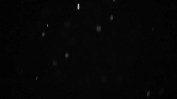 Bokeh of white snow hd slow motion video on a black background. Falling snowflakes on night sky background, isolated for post production and overlay in graphic editor. — Stock Video