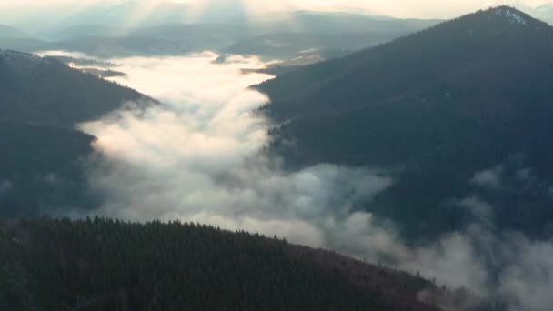 Poranna mgła w górach, mgła w Karpatach, polanie Synevyr we mgle. — Wideo stockowe