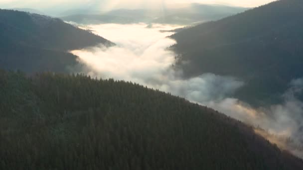 Morning haze in the mountains, fog in the Carpathians, Synevyr glade in the fog. — Stock Video