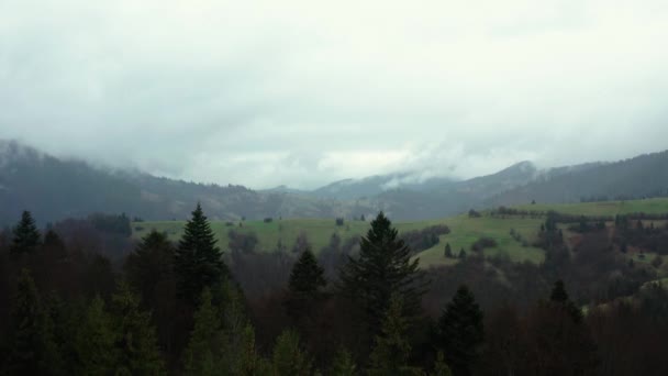 Zasněžené jarní hory, Národní přírodní park Synevyrska Polyana na Ukrajině. — Stock video