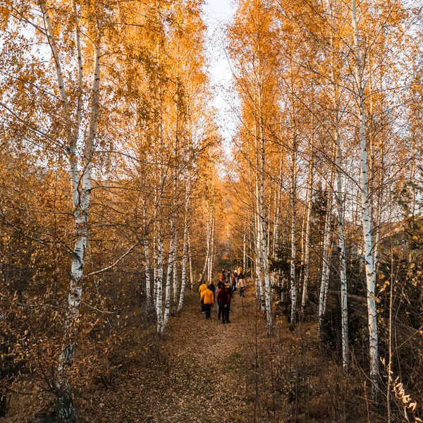 City Vyhoda Ukraine October 2021 Group Teenage Schoolchildren Walking Birch — Stock Fotó