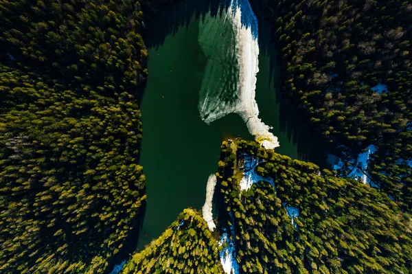 Lago Synevyr Enmarcado Por Bosque Pinos Los Cárpatos Vista Drones — Foto de Stock