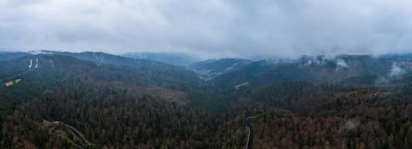 Zonsopgang Karpaten Mistige Bergen Sparrenbossen Het Natuurpark Ochtendnevel Bergen — Stockfoto