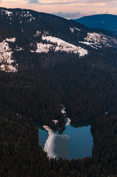 Lago Synevyr Enmarcado Por Bosque Pinos Los Cárpatos Vista Drones — Foto de Stock