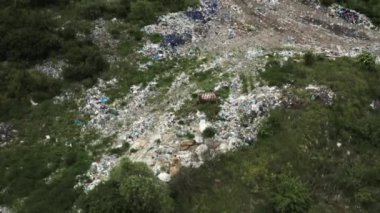 Ormandaki çöplük, çevresel kirlilik ve yerel bitki ve hayvanların yok edilmesi, Ukrayna 'daki çevre sorunu, dünya standartlarında sorun.