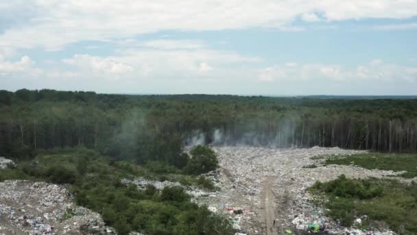 Vertedero Bosque Contaminación Ambiental Destrucción Flora Fauna Local Problema Ambiental — Vídeos de Stock