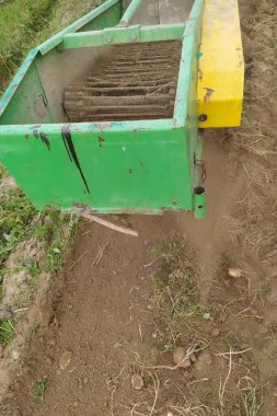 Patates hasadı için monte edilmiş titreşim donanımlı traktör bir sıra patatesi söker..