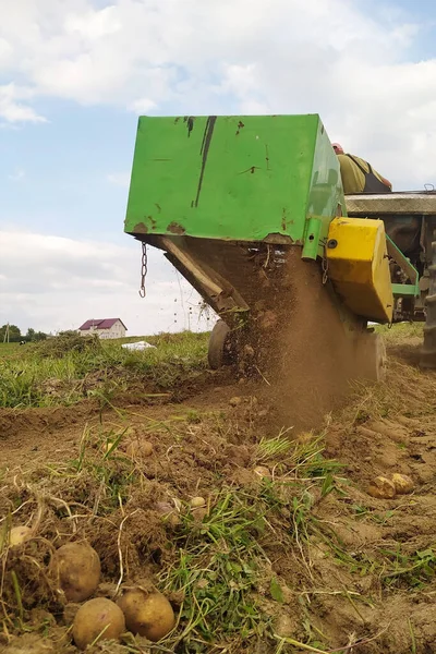 Un tracteur laboure une rangée de pommes de terre, récoltant des pommes de terre jaunes dans le village dans les champs. — Photo