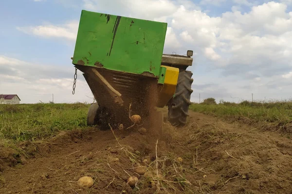 Um trator arado uma fileira de batatas, colhendo batatas amarelas na aldeia no campo. — Fotografia de Stock