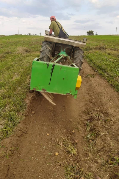 Tracteur avec équipement vibratoire monté pour la récolte des pommes de terre déchire une rangée de pommes de terre, le processus close-up. — Photo