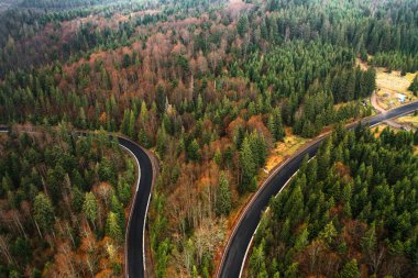 Dağlardaki Ukrayna yolları, yollar ve ormanlardan gelen yılanlar, dağlar ve yol manzarası, sık yeşil ladin ormanları..
