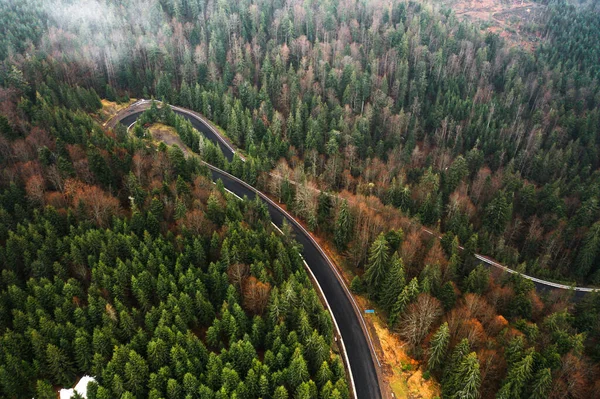 Route Serpentine Ukraine Brouillard Dans Les Montagnes Route Serpentine Dans — Photo