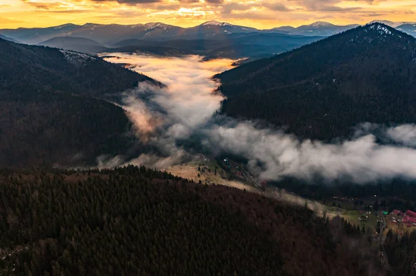 Karpatlar Gün Doğumu Doğa Parkında Sisli Dağlar Ladin Ormanları Dağlarda — Stok fotoğraf