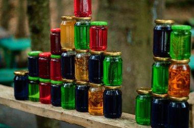 Ağacın kabuğu güneşin arka planında madeni paralarla kaplıdır. Ukrayna 'da antik bir mutluluk ve turizm geleneği..