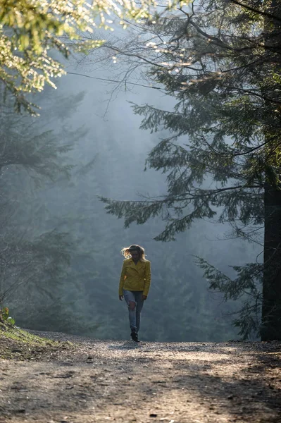 Könnyű Kocogást Végez Ködös Erdőben Reggel Hajnalban Ködös Reggelen Erdőben — Stock Fotó