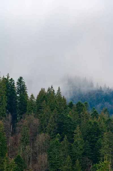 Sommet Montagne Dans Brouillard Brouillard Matinal Dans Les Montagnes Des — Photo