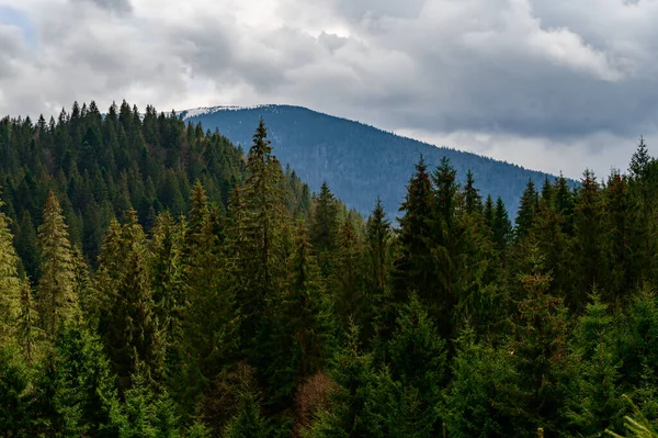 Sommet Montagne Dans Brouillard Brouillard Matinal Dans Les Montagnes Des — Photo