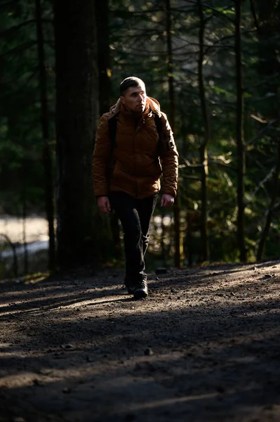 Egy Ember Sétál Erdei Ösvényeken Ködben Nap Sugarai Áttörnek Fákon — Stock Fotó