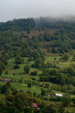 Sabah ışığında dağ çayırı, çimenli bir tepenin üzerindeki dağ vadisi, doğanın tazeliği kavramı, Karadağ manzaraları..