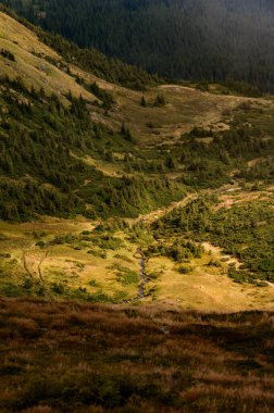 Bulutlu sonbahar Karpatları, pitoresk dağ manzaraları, Karpat Ukrayna Ulusal Parkı, dağ çayırları ve bir göl..
