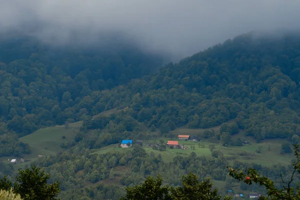 Horská Louka Ranním Světle Horské Údolí Mlze Travnatém Kopci Koncept — Stock fotografie