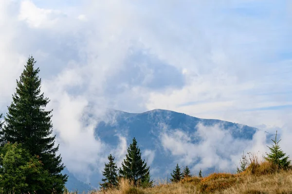モンテネグロの尾根 ペトロス山への道 朝の霧の中の山々 山の背景に1本の木 — ストック写真