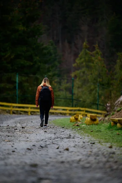 Turista Kárpátok Egy Lány Háttérben Hegyek Rehabilitációs Központ Barna Medvék — Stock Fotó