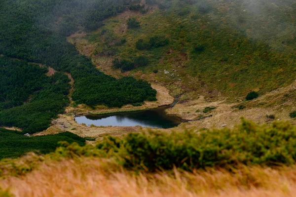 秋のカルパティア 絵のような山の風景 カルパティア ウクライナ国立公園 山の牧草地 湖を見下ろす — ストック写真
