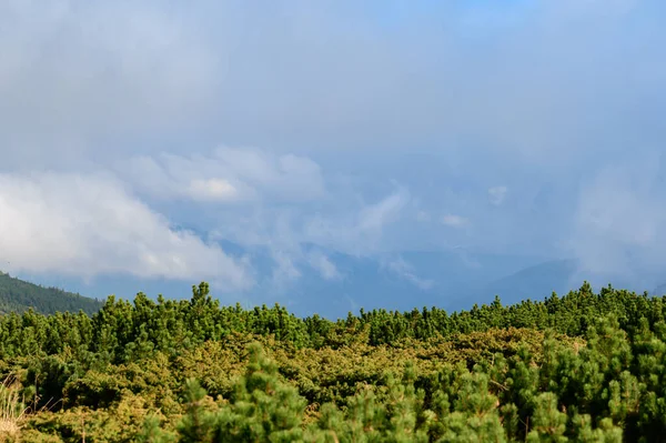 Skutečná Rána Karpat Jezera Nesamovyto Mount Turkul Okolí Malebné Podzimní — Stock fotografie